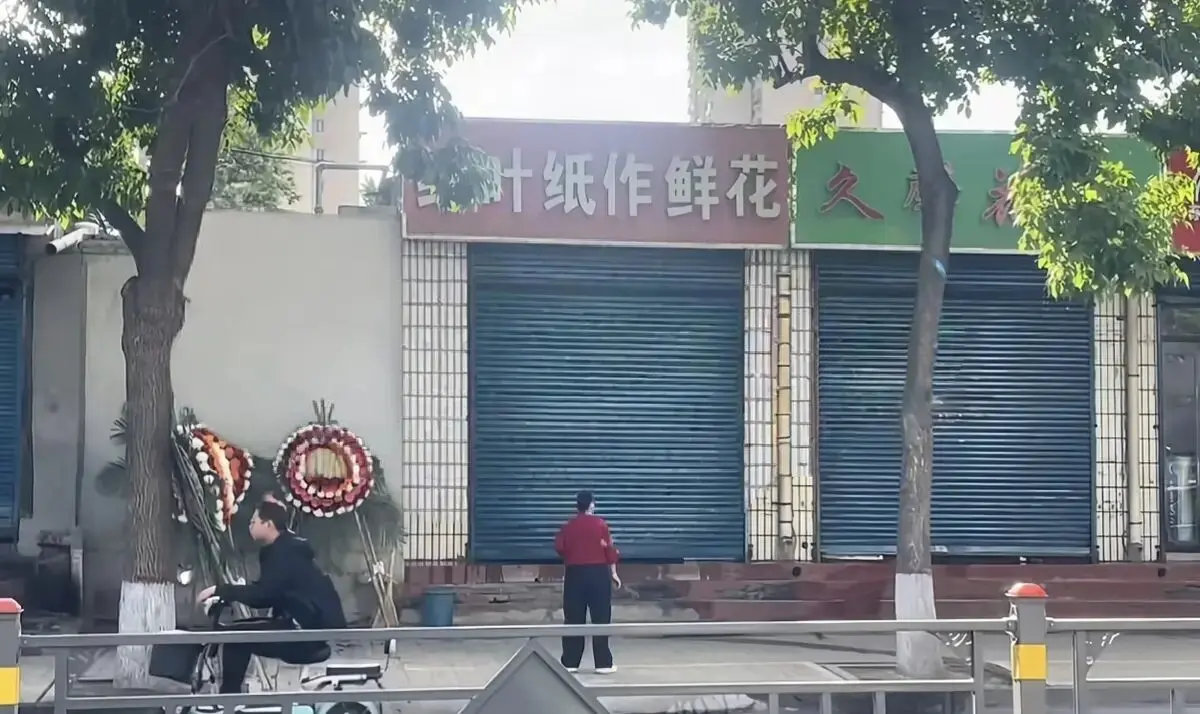 《原平纸艺鲜花店门口实拍炸裂视频》相关资源图片