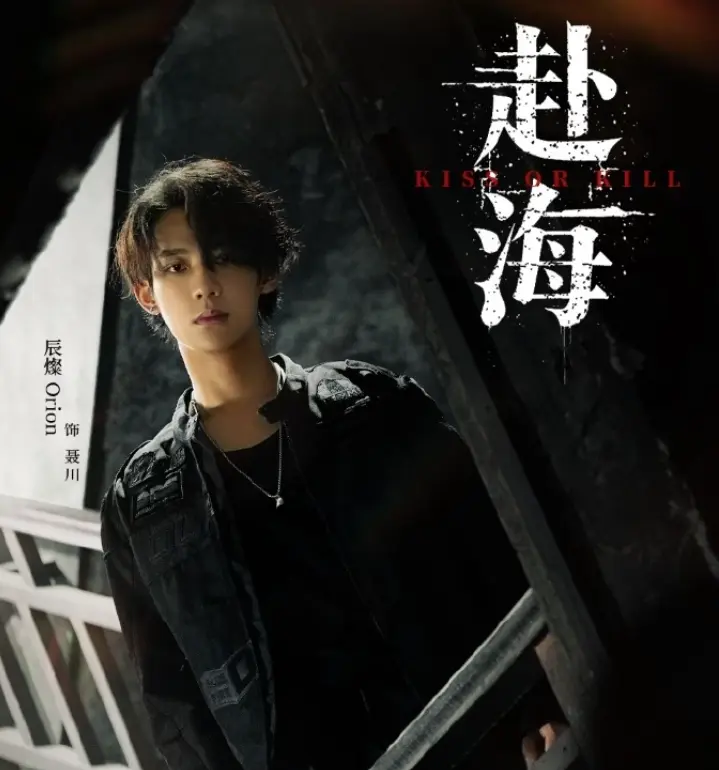 《赴海》环大陆赴海爱情剧全集免费观看-辰燦主演双男主剧高清在线播放-《赴海》完整版资源手机在线观看无删减