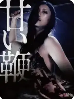 《甜蜜皮鞭》HD高清完整版在线观看-中文字幕未删减版免费播放-日本经典剧情片甜蜜皮鞭1080P超清