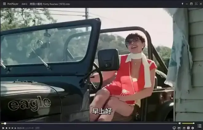 《美丽小蜜桃》1080P高清中字未删减版在线观看-美国复古喜剧电影免费播放-《美丽小蜜桃》完整版全集观看